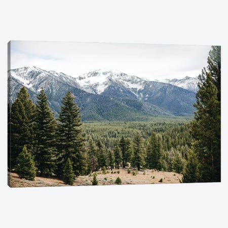 Forest Trail Adventure in the Sawtooth Mountains Canvas Print #MGK646} by Nature Magick Canvas Print