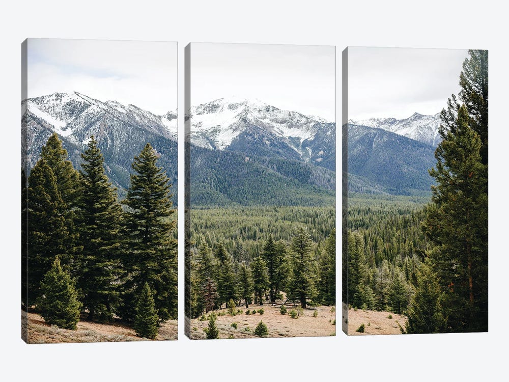 Forest Trail Adventure in the Sawtooth Mountains by Nature Magick 3-piece Canvas Artwork