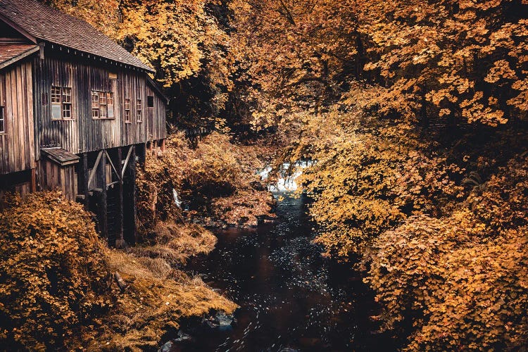 Fall Leaves Autumn Trees and Water at the Cedar Creek Grist Mill Rustic Country Farmhouse Scenic