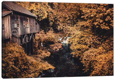 Fall Leaves Autumn Trees and Water at the Cedar Creek Grist Mill Rustic Country Farmhouse Scenic Canvas Art Print - Watermill & Windmill Art