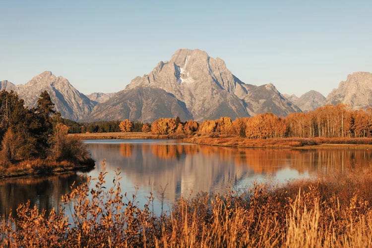 Fall Aspen Trees and Mountain Water Reflection Mt. Moranin Grand Teton National Park