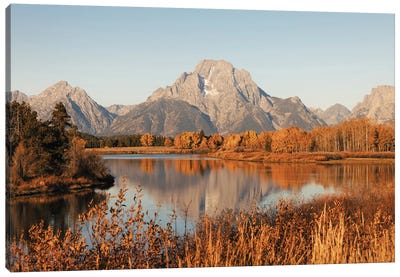 Fall Aspen Trees and Mountain Water Reflection Mt. Moranin Grand Teton National Park Canvas Art Print - Grand Teton National Park Art