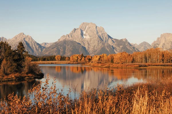 Fall Aspen Trees and Mountain Water Reflection Mt. Moranin Grand Teton National Park