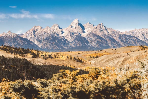 Rocky Mountains: Fall Adventure Autumn Mountains and Aspen Trees at Grand Teton National Park Western Grand Tetons by Nature Magick