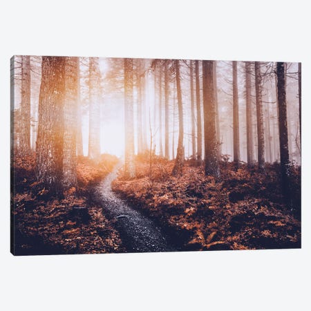 Fall Forest Magic Trees on an Autumn Path through the Misty Woods Canvas Print #MGK657} by Nature Magick Canvas Wall Art