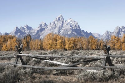 Fall Mountains Grand Tetons with Autumn Aspen Trees at Grand Teton National Park Western by Nature Magick multi panel art