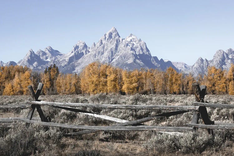 Fall Mountains Grand Tetons with Autumn Aspen Trees at Grand Teton National Park Western