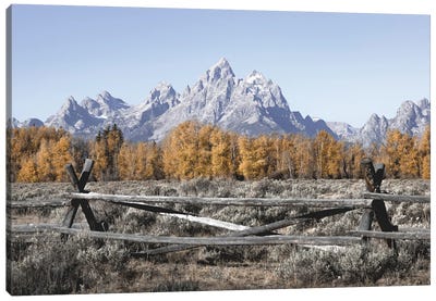 Fall Mountains Grand Tetons with Autumn Aspen Trees at Grand Teton National Park Western Canvas Art Print - Rocky Mountain Art