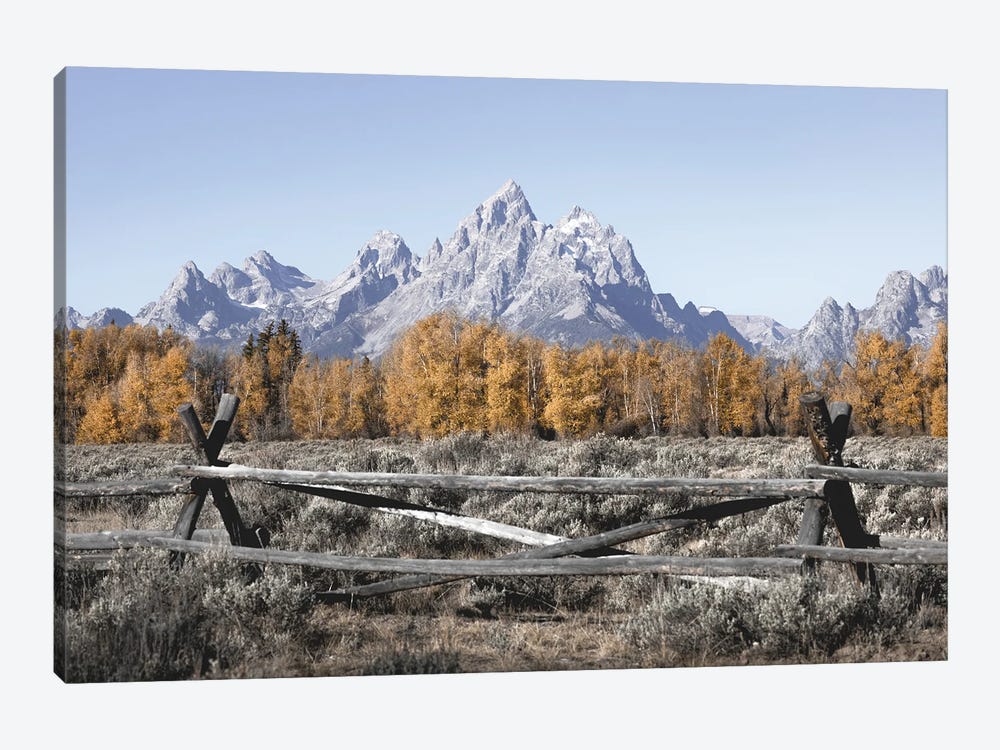 Fall Mountains Grand Tetons with Autumn Aspen Trees at Grand Teton National Park Western by Nature Magick 1-piece Canvas Art