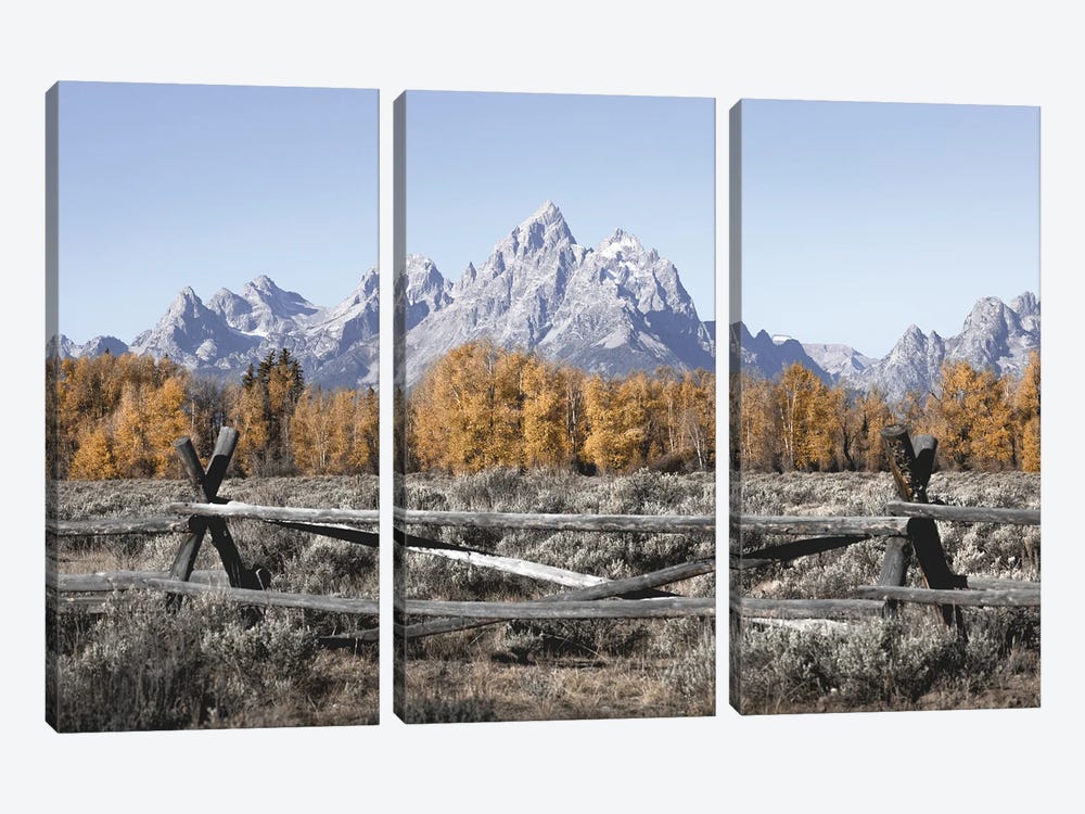 Fall Mountains Grand Tetons with Autumn Aspen Trees at Grand Teton National Park Western by Nature Magick 3-piece Canvas Wall Art