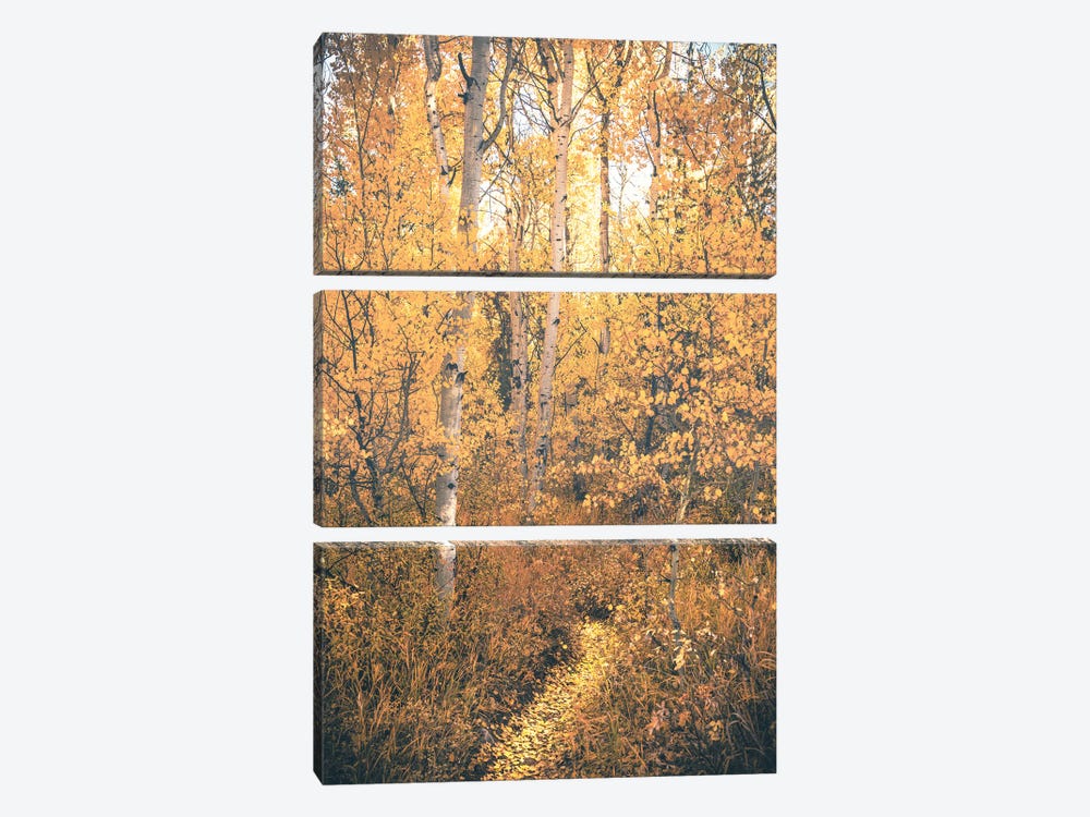 Magical Fall Forest Path with Aspen Trees and Yellow Autumn Leaves Woods Trail by Nature Magick 3-piece Canvas Print