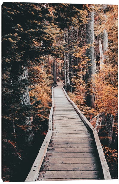 Fall Trail Forest Tree Path through the Autumn Woods Canvas Art Print - Take a Hike