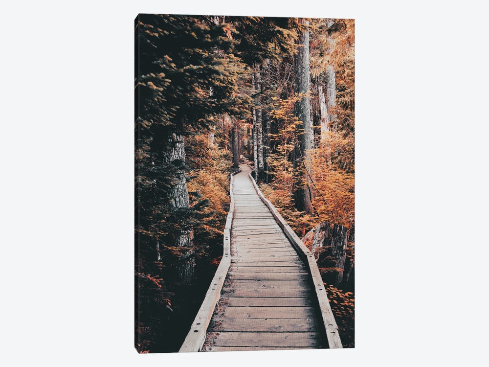 Fall Trail Forest Tree Path through the Autumn Woods by Nature Magick 1-piece Canvas Artwork