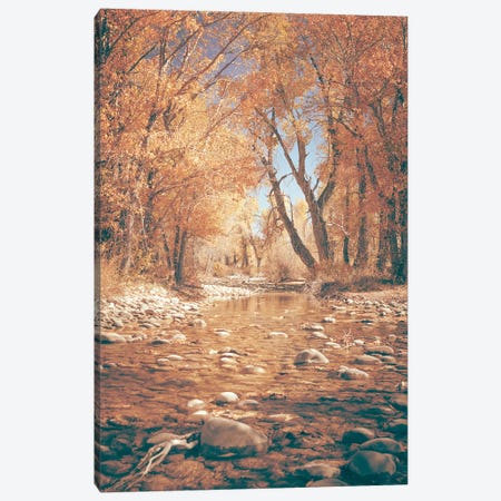 Fall River Water and Orange Autumn Leaves on Cottonwood Trees in Grand Teton National Park Canvas Print #MGK664} by Nature Magick Canvas Art Print