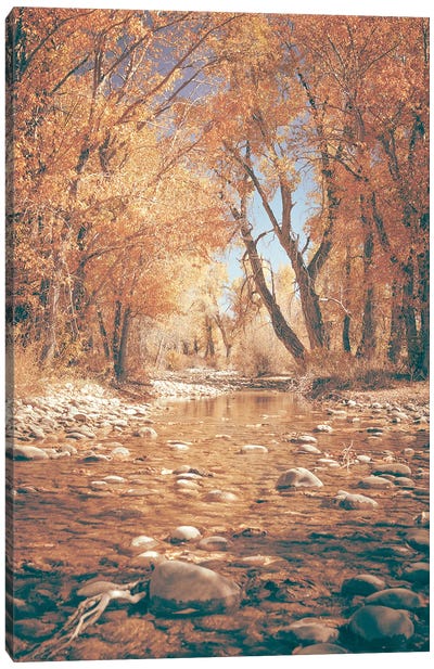 Fall River Water and Orange Autumn Leaves on Cottonwood Trees in Grand Teton National Park Canvas Art Print - Grand Teton National Park Art