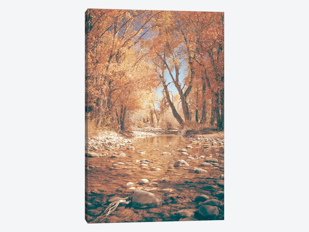 Fall River Water and Orange Autumn Leaves on Cottonwood Trees in Grand Teton National Park 1-piece Canvas Wall Art
