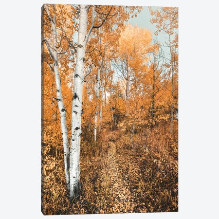 Fall Forest Path with Aspen Trees and Orange Autumn Leaves Trail in Grand Teton National Park Canvas Print #MGK666} by Nature Magick Canvas Print