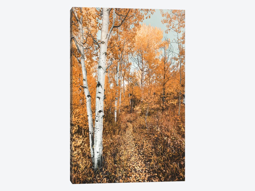 Fall Forest Path with Aspen Trees and Orange Autumn Leaves Trail in Grand Teton National Park by Nature Magick 1-piece Canvas Artwork