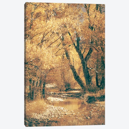 Fall River Autumn Leaves on Cottonwood Trees on the Water in Grand Teton National Park Canvas Print #MGK668} by Nature Magick Canvas Artwork