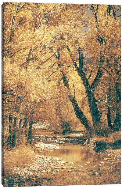 Fall River Autumn Leaves on Cottonwood Trees on the Water in Grand Teton National Park Canvas Art Print - Take a Hike