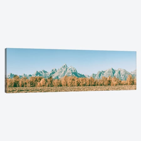 Fall in the Grand Tetons Autumn Aspen Trees and Mountains at Grand Teton National Park Western Canvas Print #MGK673} by Nature Magick Canvas Print