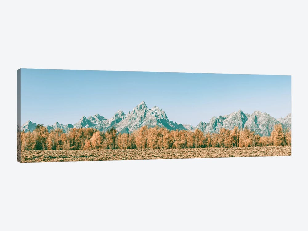 Fall in the Grand Tetons Autumn Aspen Trees and Mountains at Grand Teton National Park Western 1-piece Canvas Wall Art