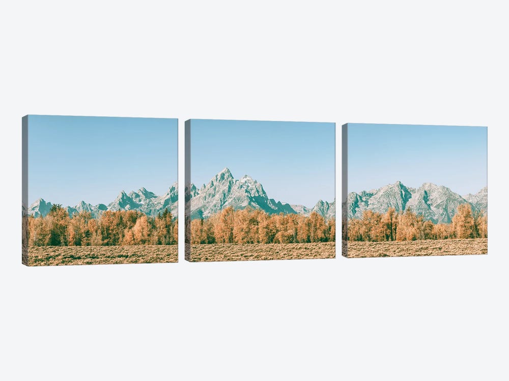 Fall in the Grand Tetons Autumn Aspen Trees and Mountains at Grand Teton National Park Western by Nature Magick 3-piece Canvas Artwork