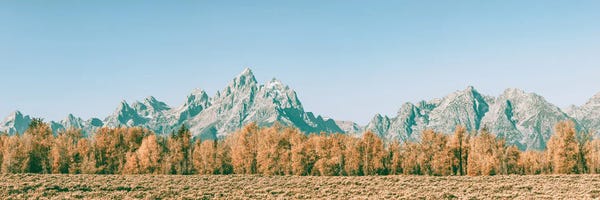 Teton Range: Fall in the Grand Tetons Autumn Aspen Trees and Mountains at Grand Teton National Park Western by Nature Magick