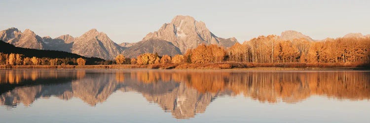 Fall Aspen Trees and Mountain Water Reflection Mt. Moran Autumn Leaves Grand Teton National Park Western