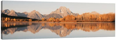 Fall Aspen Trees and Mountain Water Reflection Mt. Moran Autumn Leaves Grand Teton National Park Western Canvas Art Print - Nature Magick