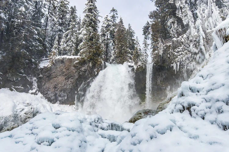 Sahalie Falls Ice Water Winter Forest Waterfall