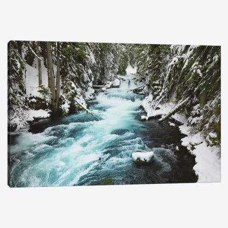 Winter Woods with Snow, Water, and Ice on the McKenzie River Canvas Print #MGK677} by Nature Magick Canvas Art