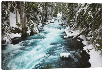 Winter Woods with Snow, Water, and Ice on the McKenzie River Canvas Art Print