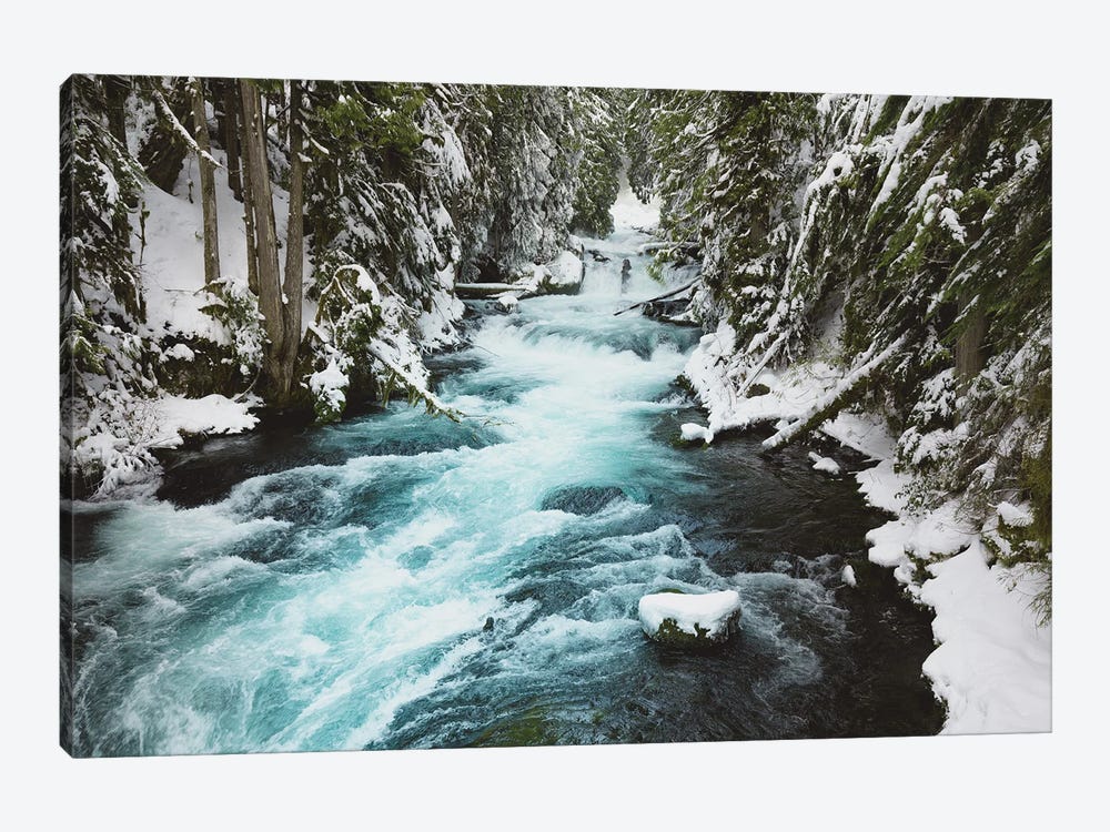 Winter Woods with Snow, Water, and Ice on the McKenzie River by Nature Magick 1-piece Canvas Wall Art