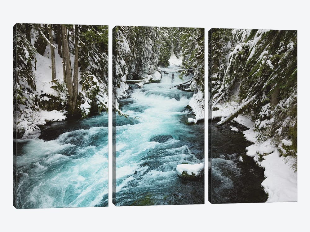 Winter Woods with Snow, Water, and Ice on the McKenzie River by Nature Magick 3-piece Canvas Art