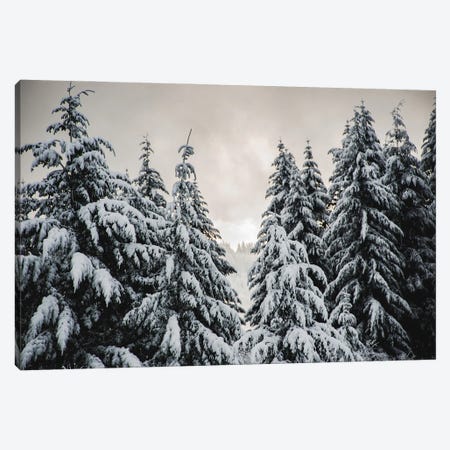 Winter Forest Walk Fir Trees in the Snow Canvas Print #MGK678} by Nature Magick Canvas Art Print