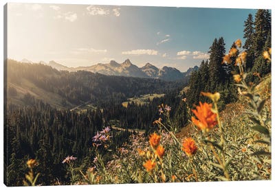 Mount Rainier Summer Wildflower Landscape Canvas Art Print - Nature Magick