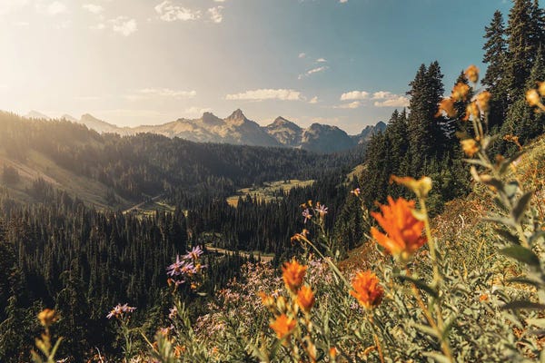 Wildflowers: Mount Rainier Summer Wildflower Landscape by Nature Magick