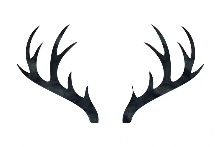 Antlers by Nature Magick wall art