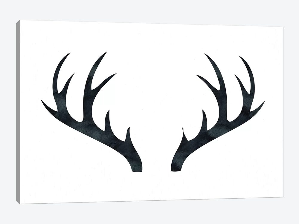Antlers by Nature Magick 1-piece Canvas Art