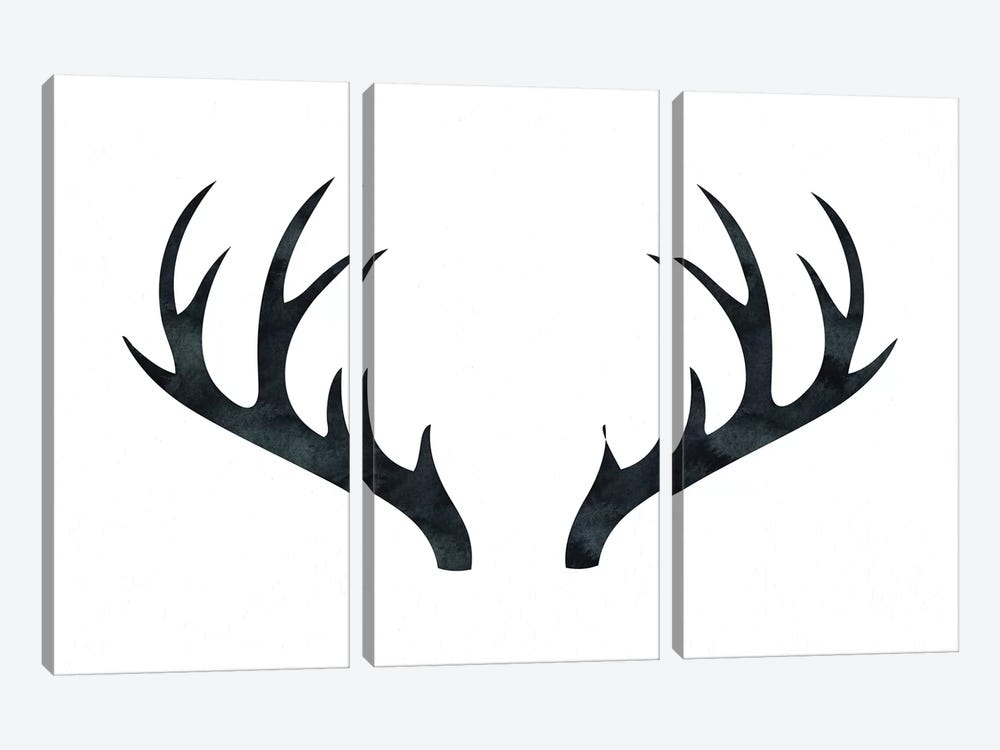 Antlers by Nature Magick 3-piece Canvas Art
