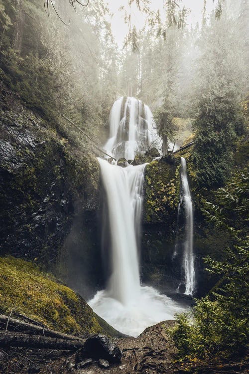 Falls Creek Falls - Pacific Northwest by Nature Magick wall art