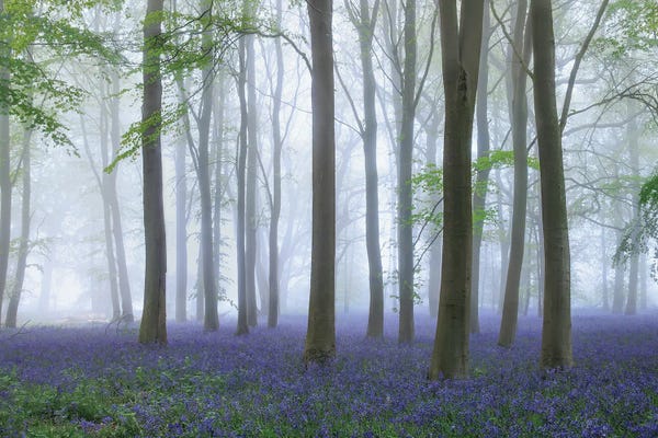 Nature Magick