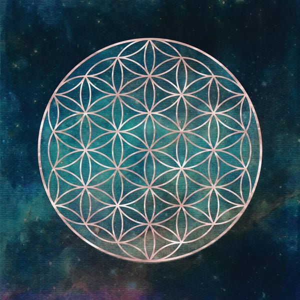 Mandalas: Mandala Flower Of Life by Nature Magick