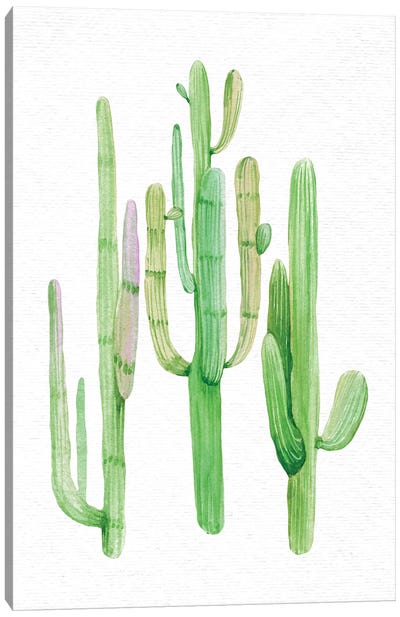 Southwestern Green Trio Canvas Art Print - Cactus Art