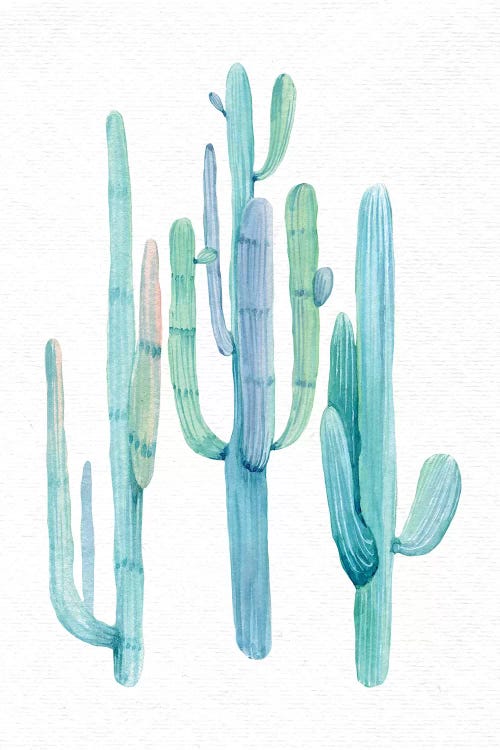 Southwestern Trio II by Nature Magick wall art