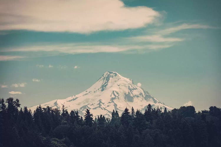 Mountain Forest Adventure Mt. Hood Oregon