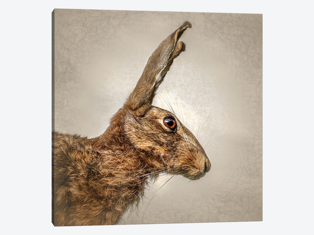 Hare by Mark Gemmell 1-piece Canvas Wall Art