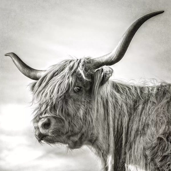 Modern Farmhouse Décor: Hesitate by Mark Gemmell