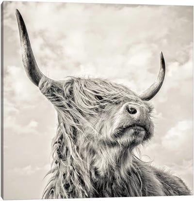 Magnificence I Canvas Art Print - Highland Cow Art